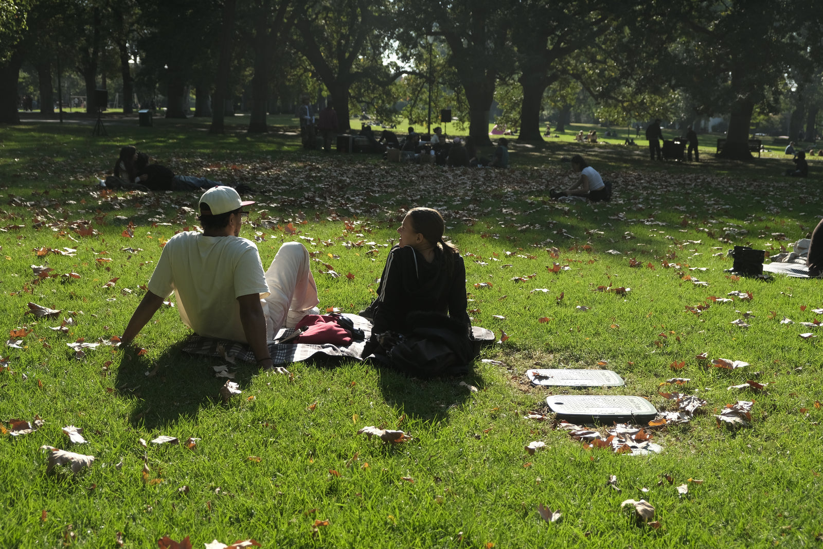 Park Session 2026 — preview photo 6