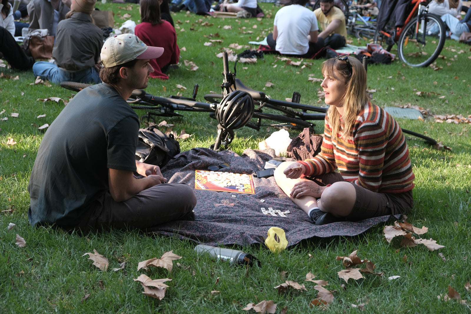 Park Session 2026 — preview photo 2