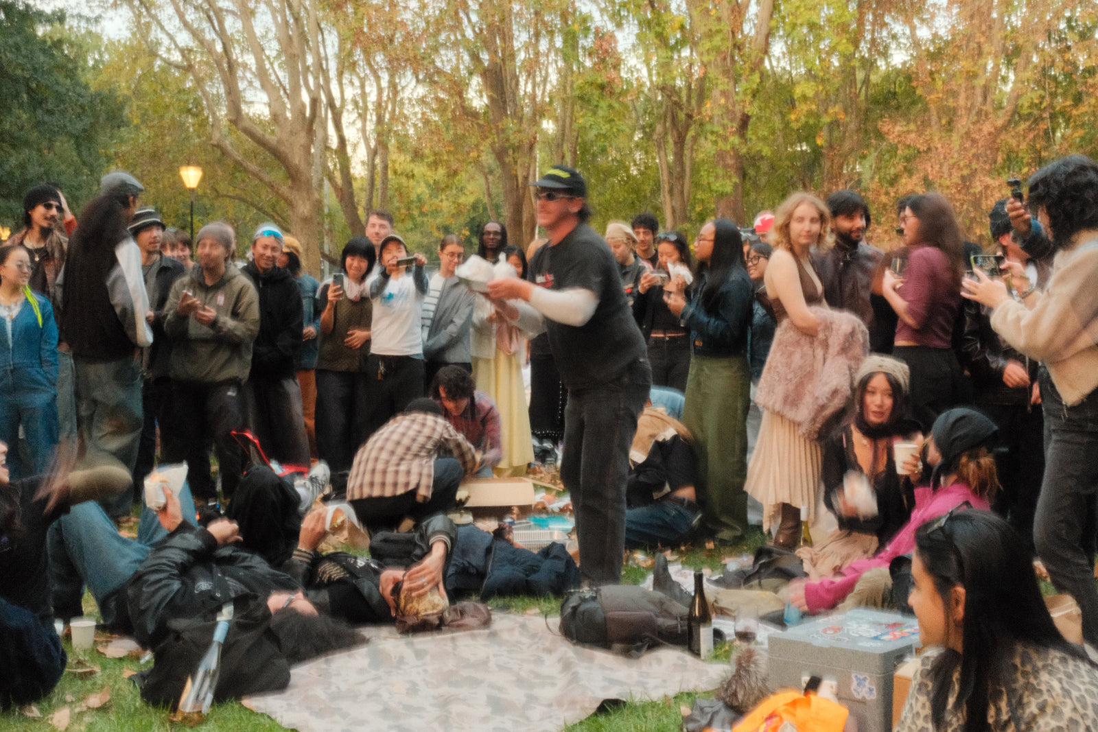 Park Session 2026 — preview photo 4